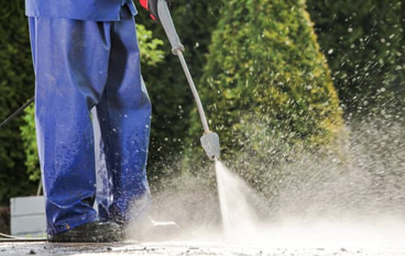 Patio and path cleaning